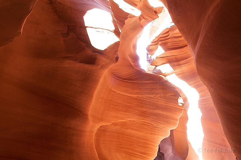 Imagination Playground